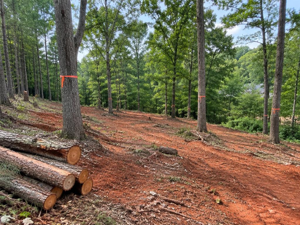 Lot & Land Tree Clearing equipment and tree work in a Charlotte-area Piedmont yard
